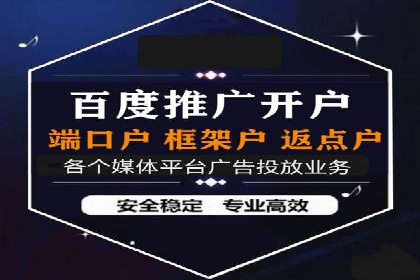 行业领先企业的SEM代理案例剖析